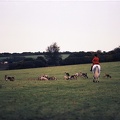 Image-61
