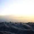 Image6