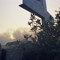 Image2