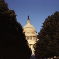 Image12