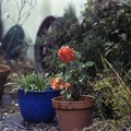 Image12