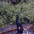 Image10