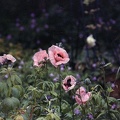 Image9