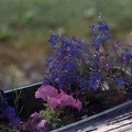 Image8