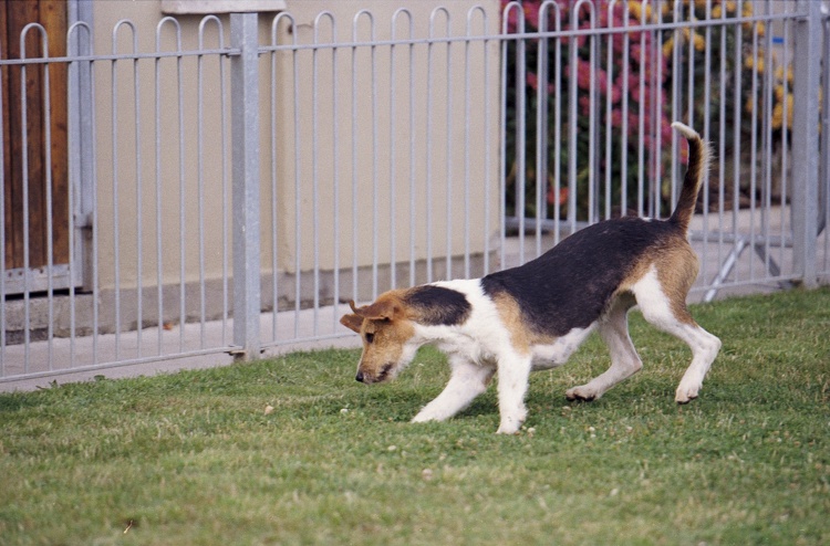 Image 16